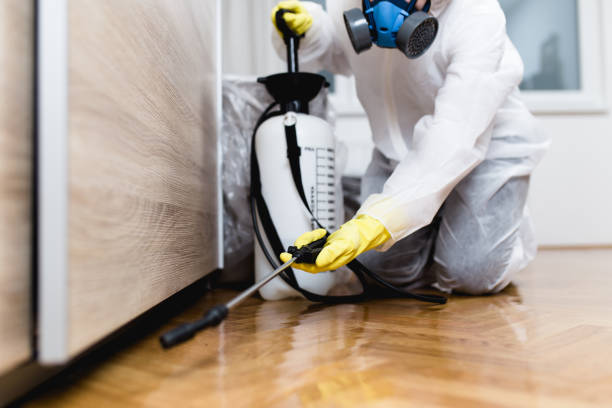 Best Affordable Pest Control Services  in Struthers, OH