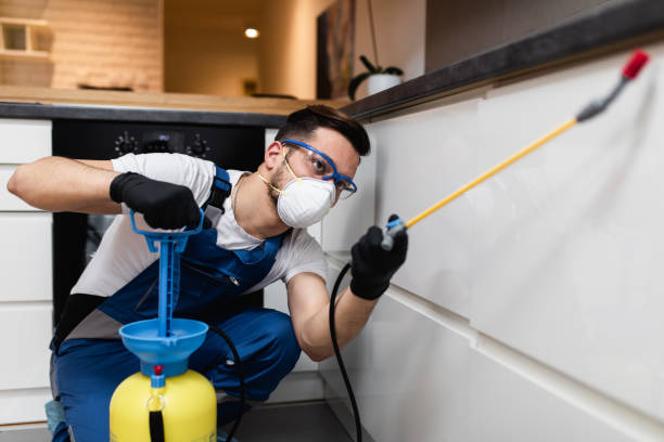 Best Affordable Pest Control Services  in Struthers, OH