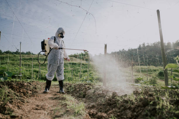 Best Ant Control Services  in Struthers, OH