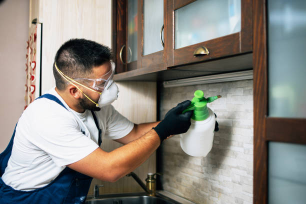 Best Cockroach Control Services  in Struthers, OH