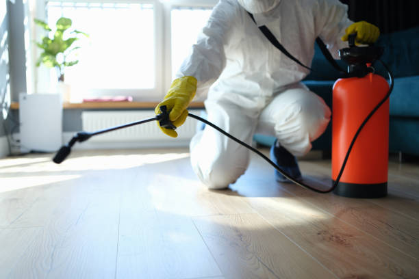 Flea Control Services in Struthers, OH