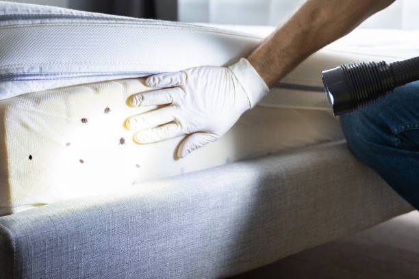 Best Commercial Pest Control Services  in Struthers, OH