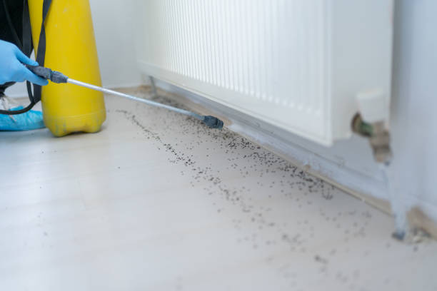 Pest Prevention Services in Struthers, OH