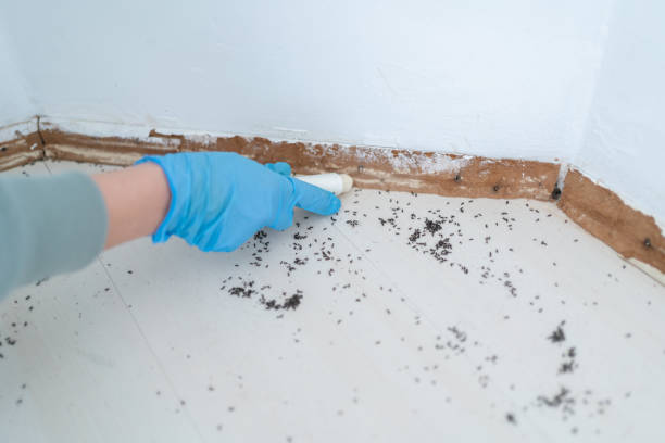 Professional Pest Control in Struthers, OH