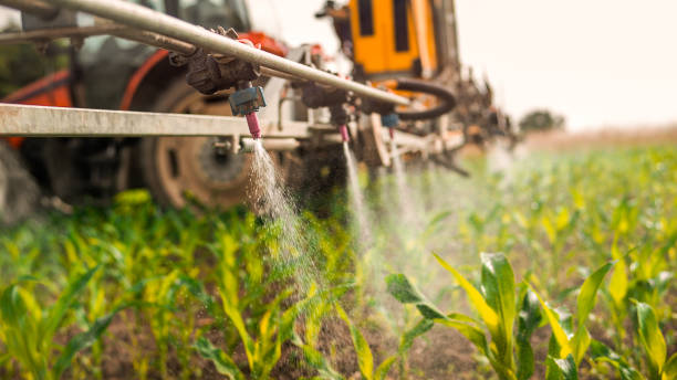 Reliable Struthers, OH Pest Control Solutions
