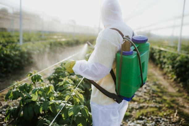 Best Wasp Removal Services  in Struthers, OH